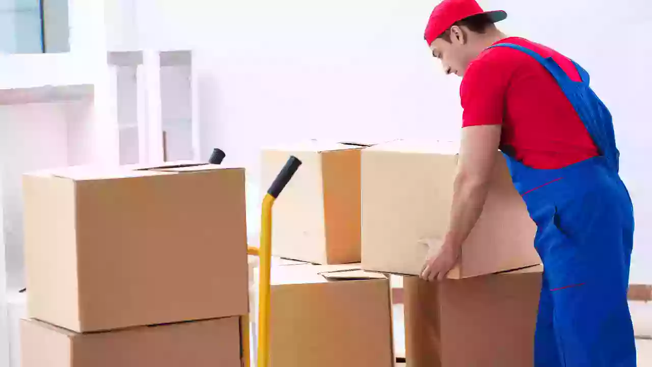 Bubble Wrap Paketleme